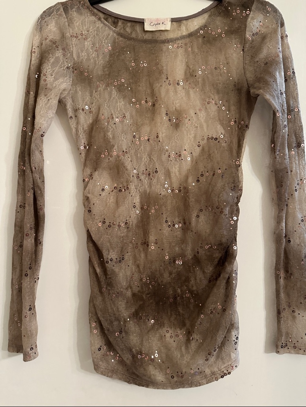 Taupe Sheer Sequined Long Sleeve Top